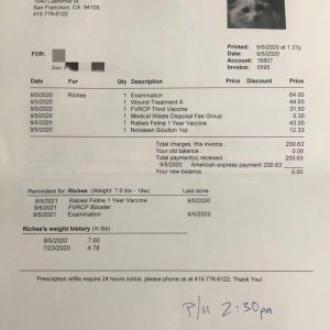 Obtaining a Dutch medical certificate